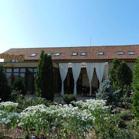 Anette Resort & Spa Covaci Εξωτερικό φωτογραφία