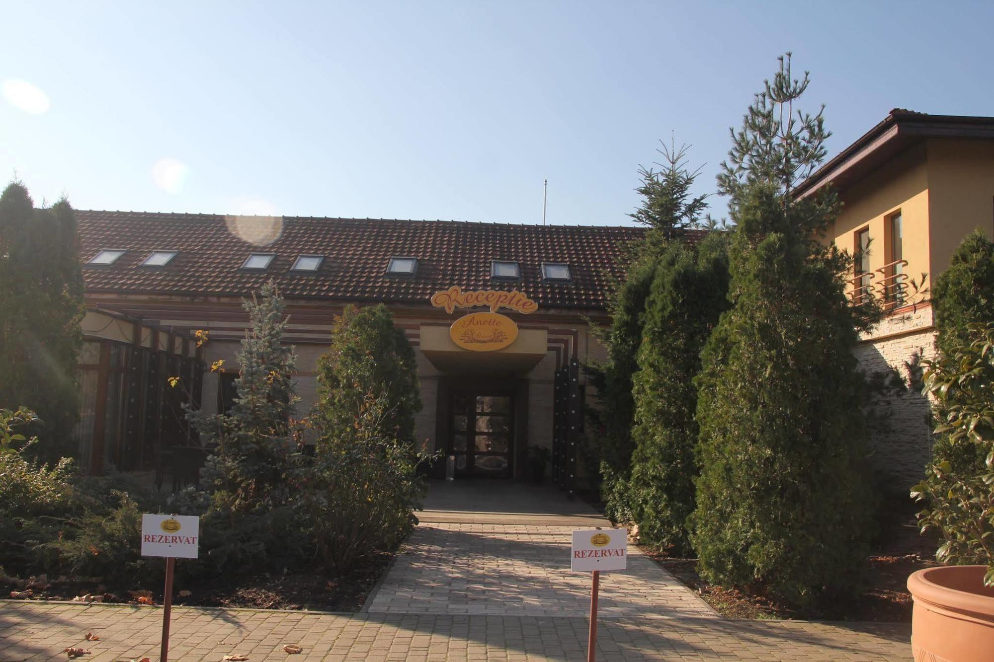 Anette Resort & Spa Covaci Εξωτερικό φωτογραφία